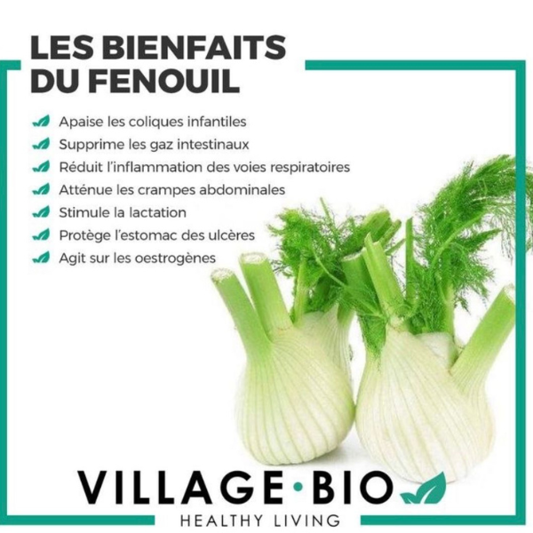Les bienfaits du fenouil