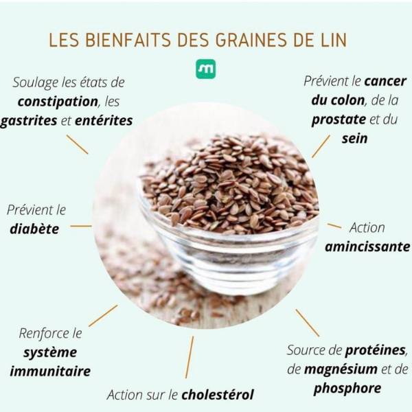 Les bienfait des graines de lin